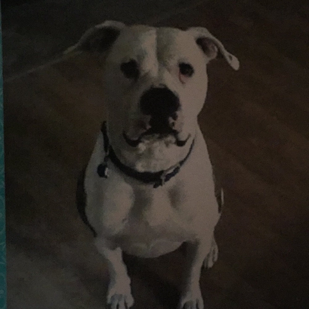 Meet your Posher, Tim